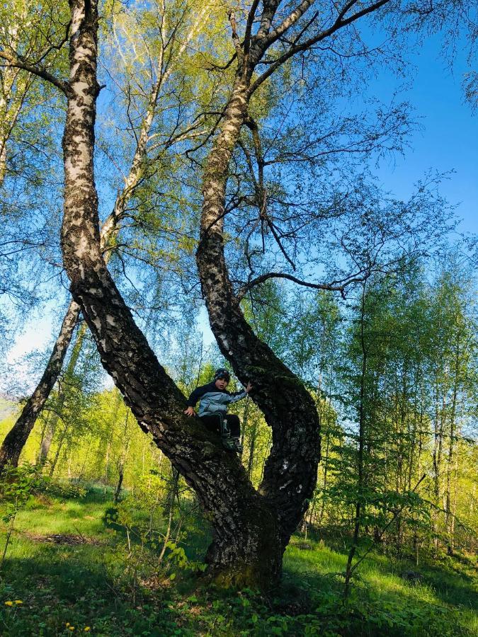 Еко Дім З Соломи Villa Solochin Bagian luar foto