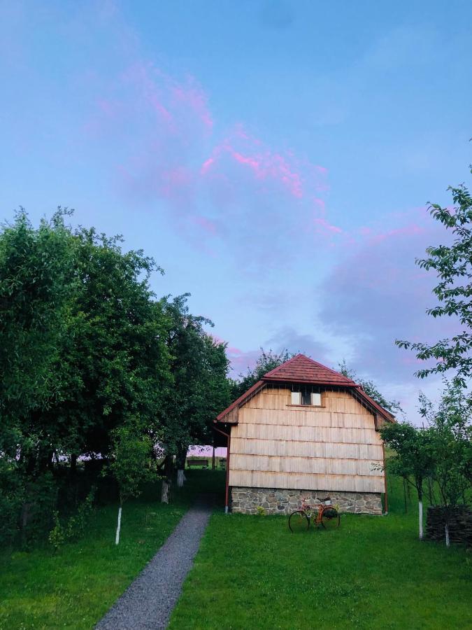 Еко Дім З Соломи Villa Solochin Bagian luar foto