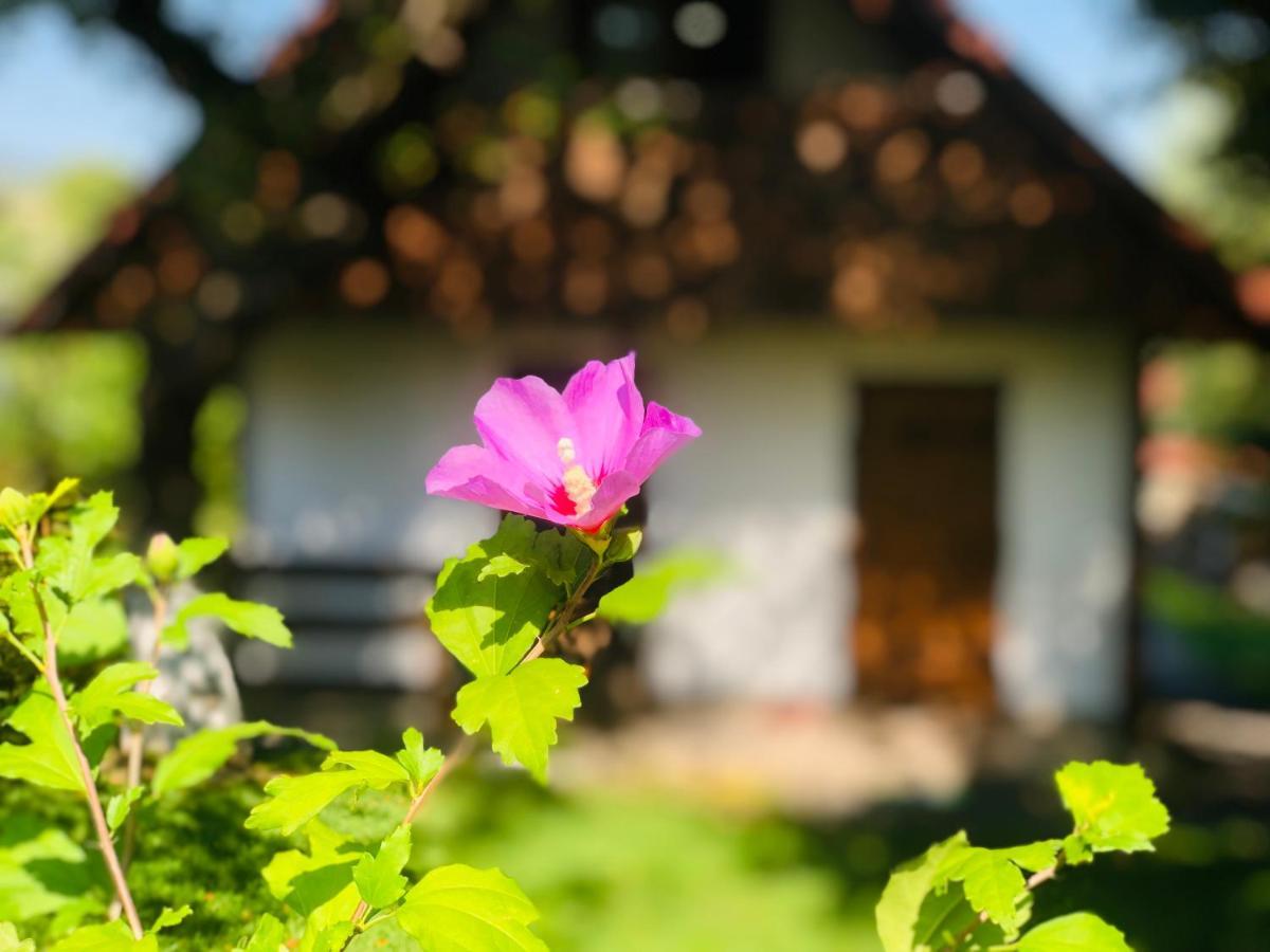 Еко Дім З Соломи Villa Solochin Bagian luar foto