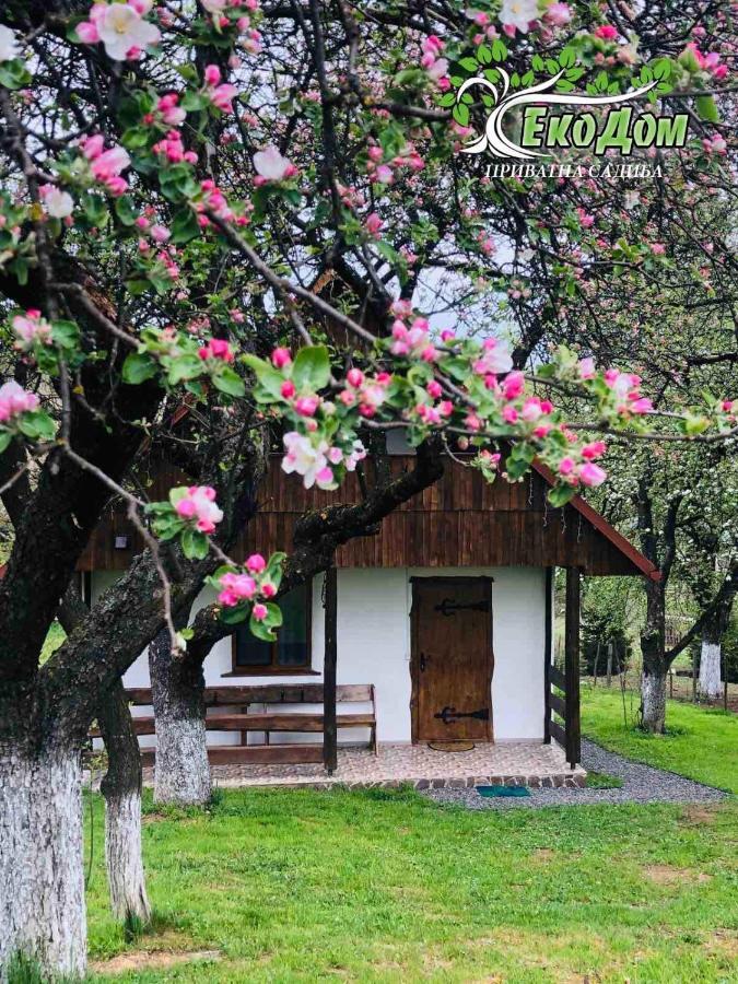 Еко Дім З Соломи Villa Solochin Bagian luar foto