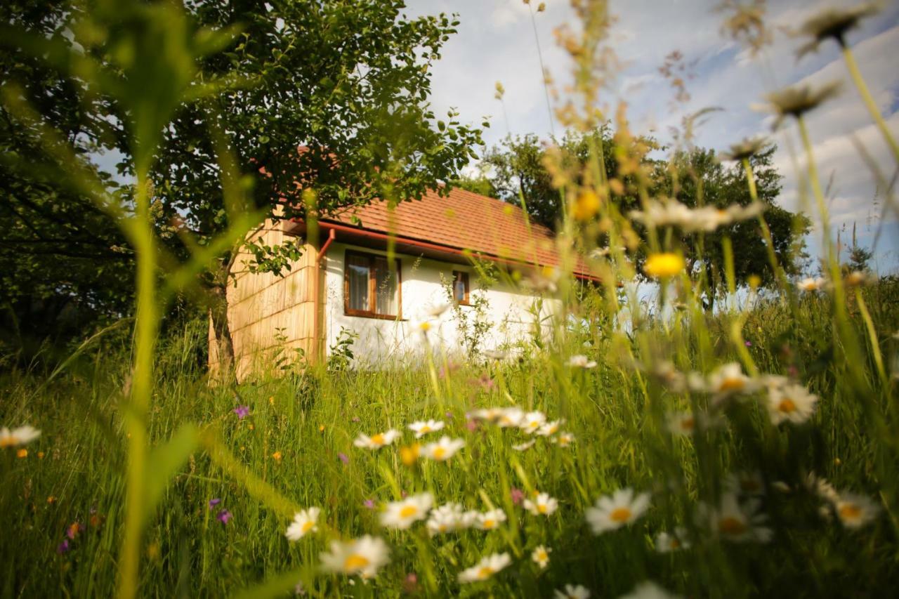 Еко Дім З Соломи Villa Solochin Bagian luar foto
