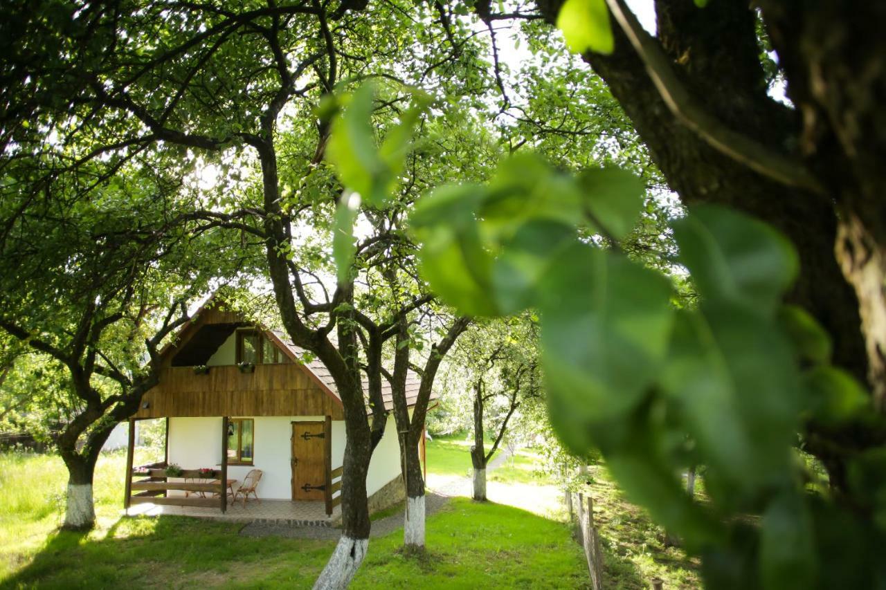 Еко Дім З Соломи Villa Solochin Bagian luar foto