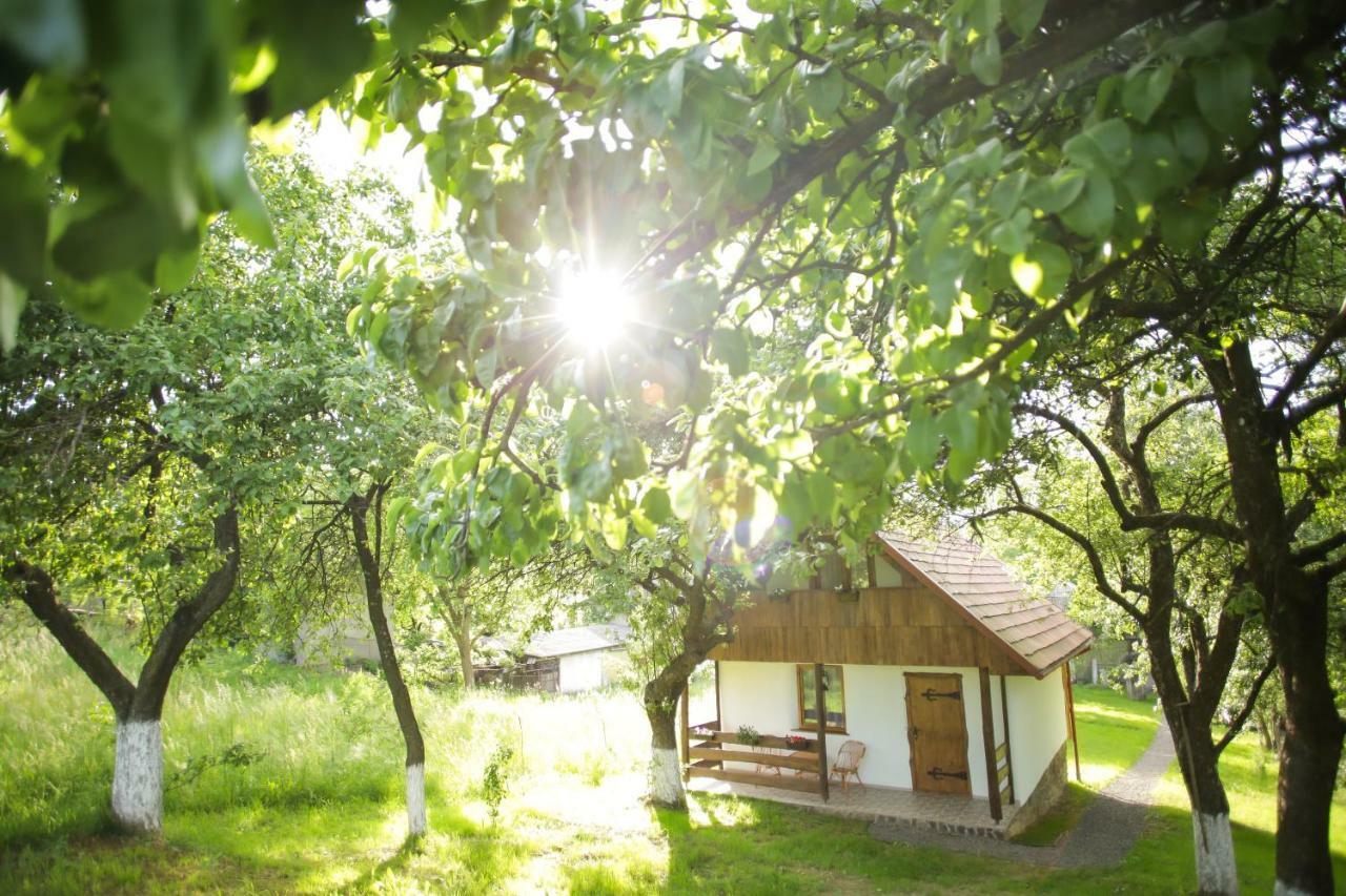 Еко Дім З Соломи Villa Solochin Bagian luar foto