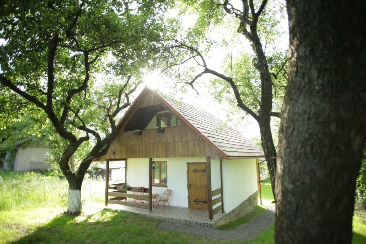 Еко Дім З Соломи Villa Solochin Bagian luar foto